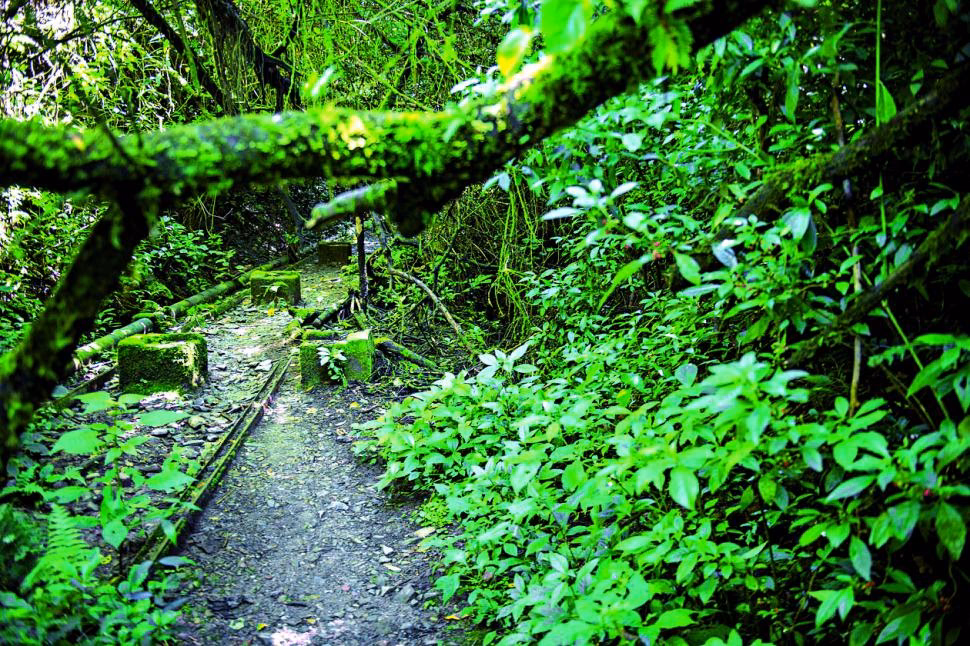 ¿Cuáles son los objetivos de la educación ambiental en Tucumán?