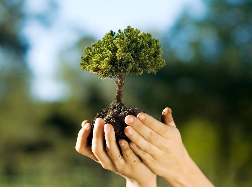 ¿Qué es la química del Medio Ambiente?