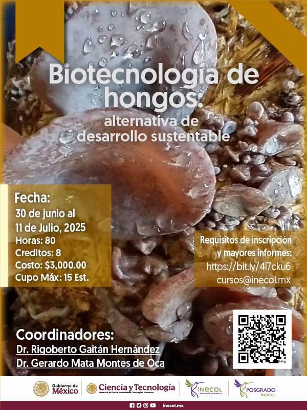 ¿Cuál es el futuro de los hongos?
