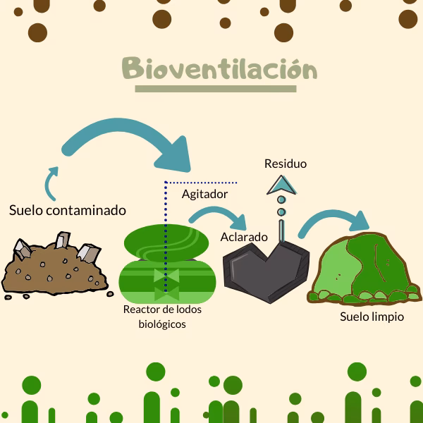 ¿Qué es la biorremediación de aguas contaminadas con hidrocarburos?