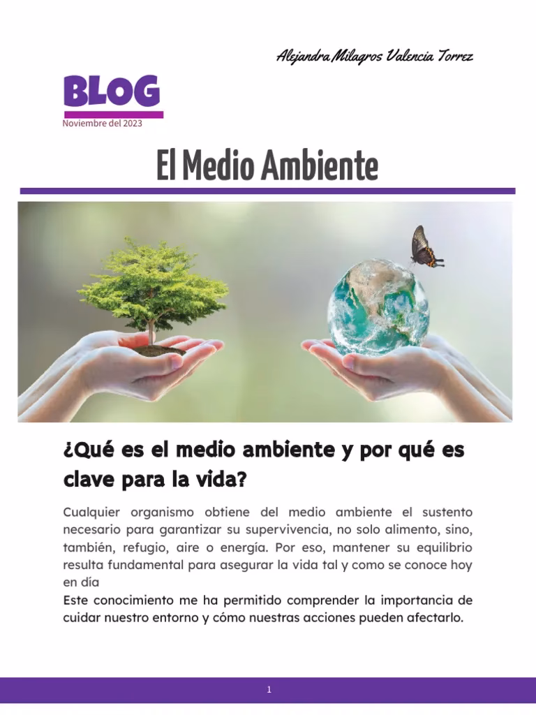 ¿Qué servicios ofrece ecologíaverde?