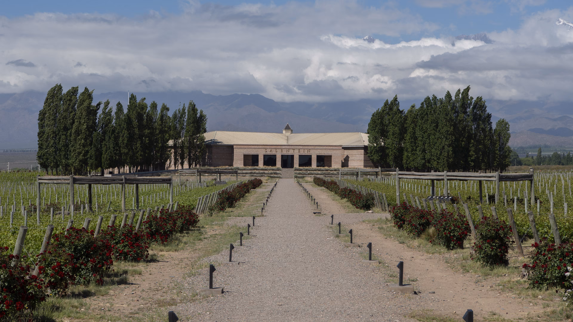 ¿Cuál es el potencial de crecimiento de la bodega de Salentein?