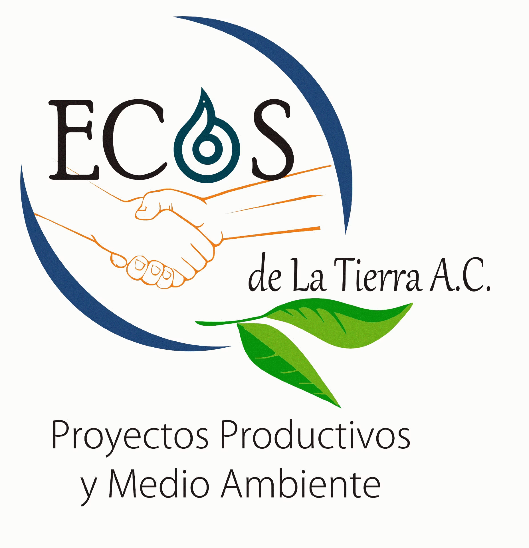 ¿Cuál es la relación entre la sociedad y el medio ambiente?