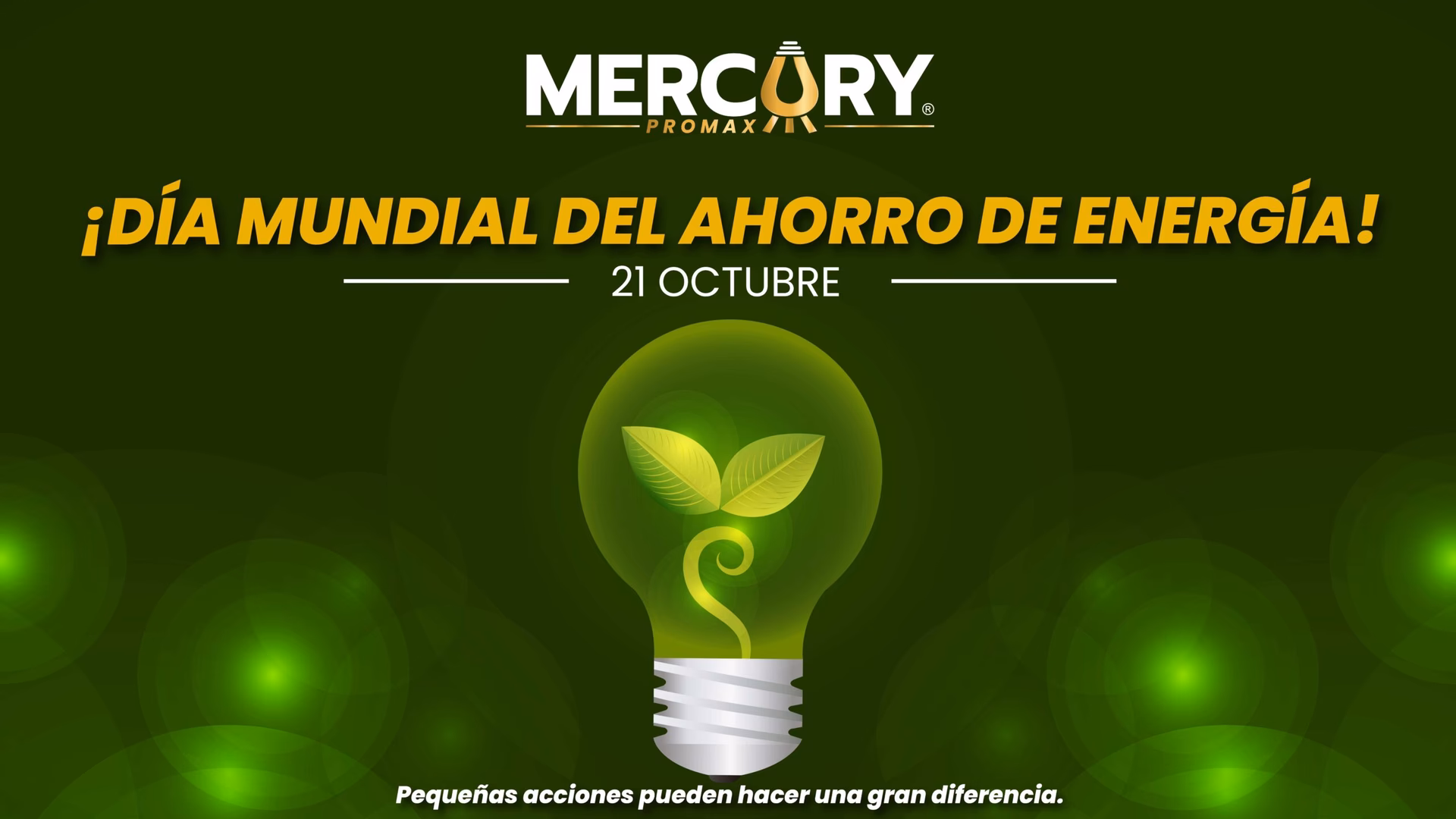 ¿Cuál es la mejor bombilla para ahorrar luz?