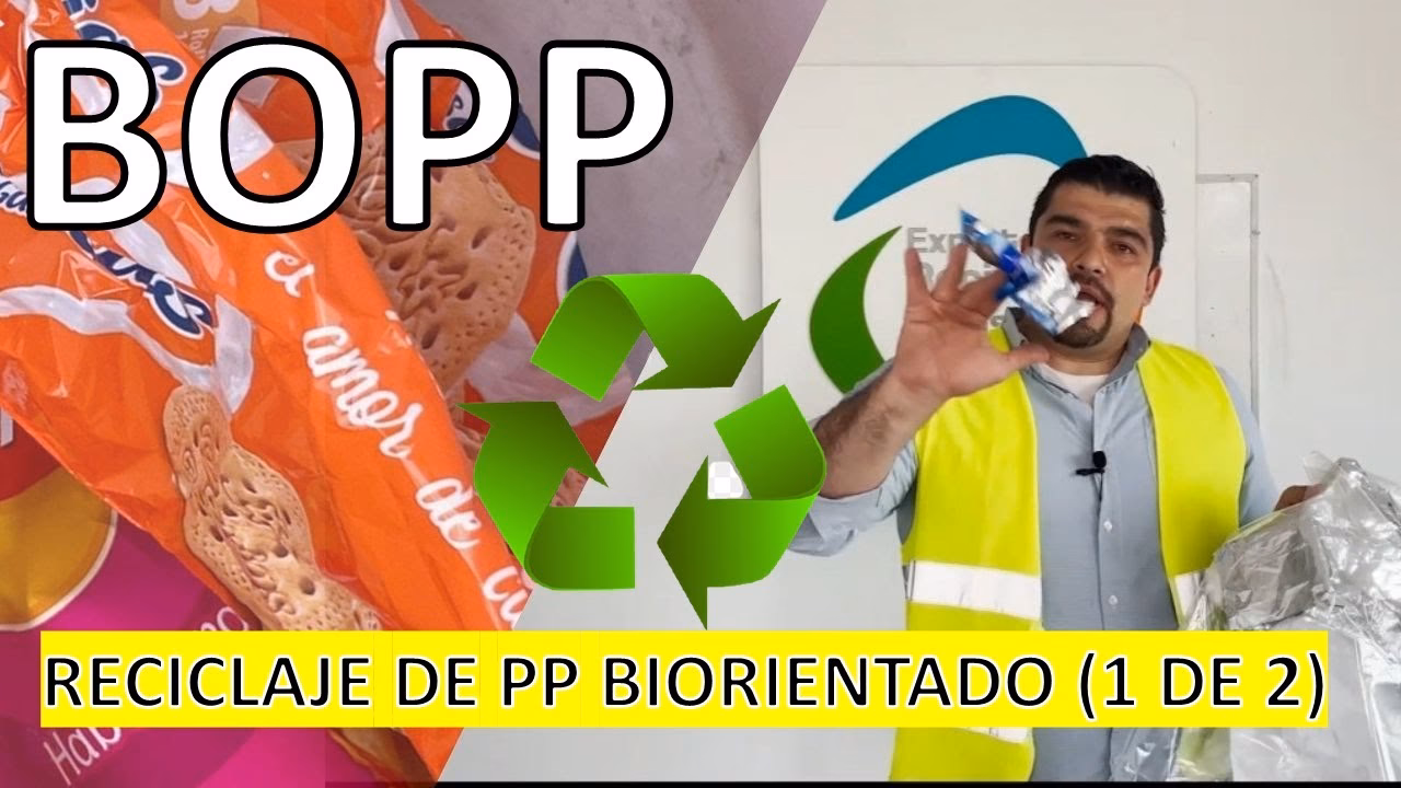 ¿Qué ofrece Boop Kids?