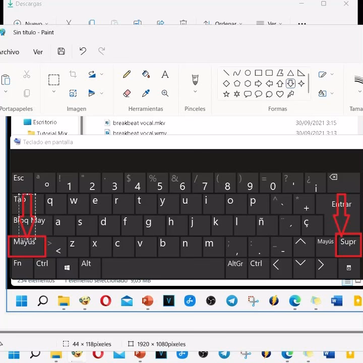 ¿Cómo eliminar archivos de la Papelera de reciclaje?