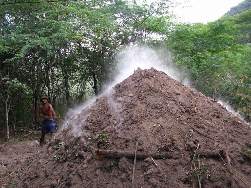¿Qué pasa con las tierras ilegales en Haiti?