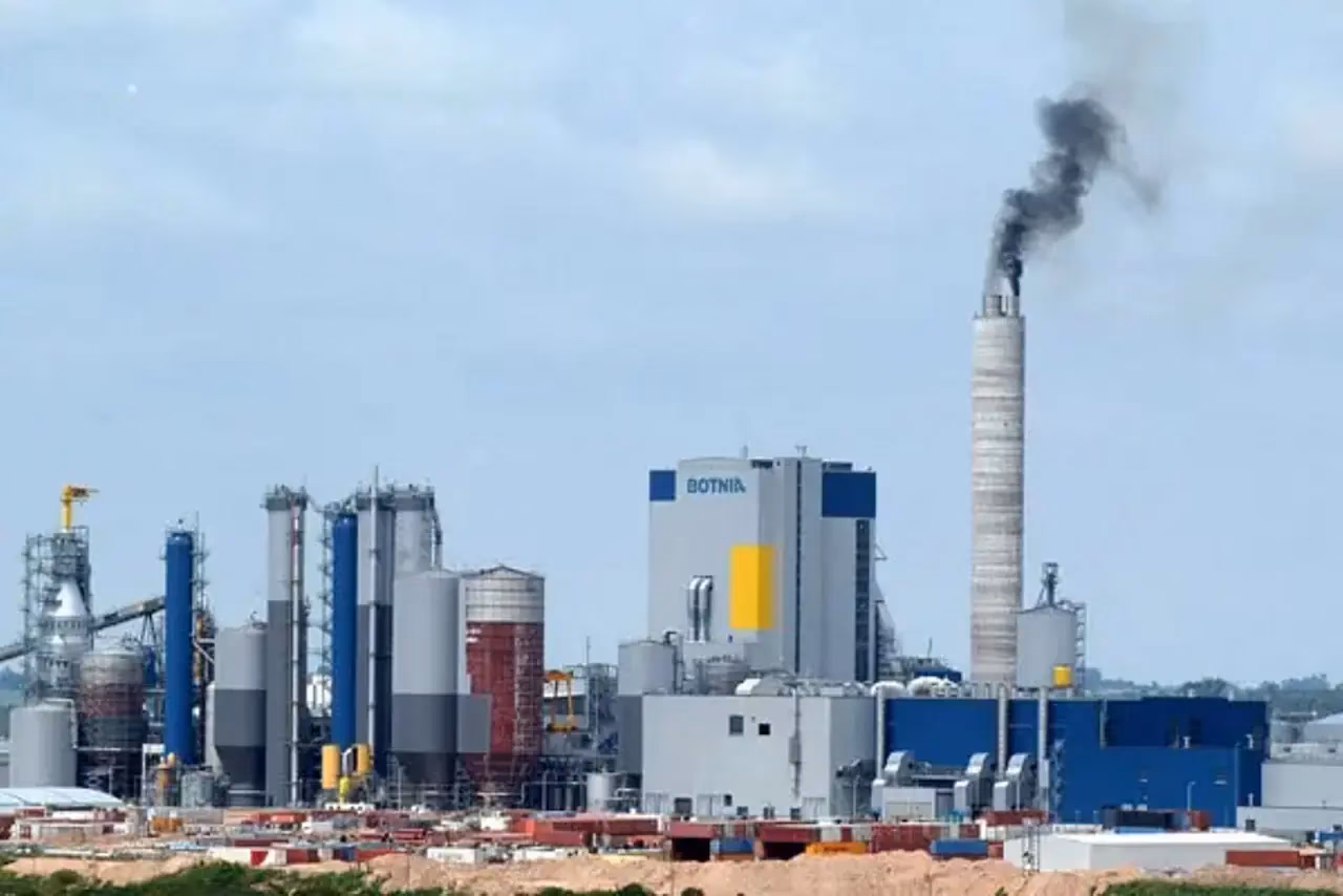 ¿Qué es la reedición de Botania?