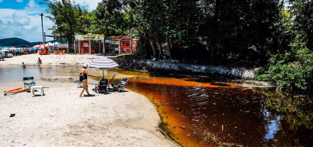 ¿Cuáles son las consecuencias de la falta de agua en Brasil?