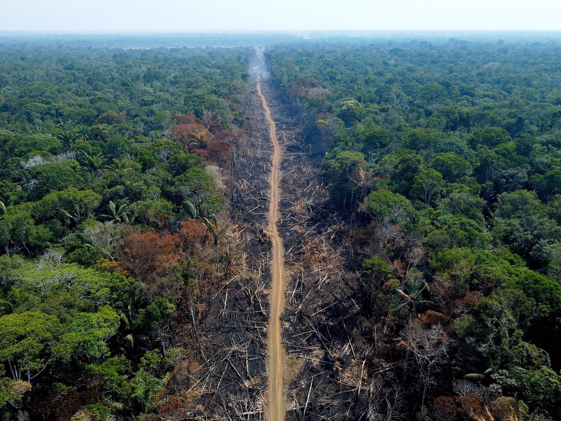 Does Brazil have a deforestation rate?