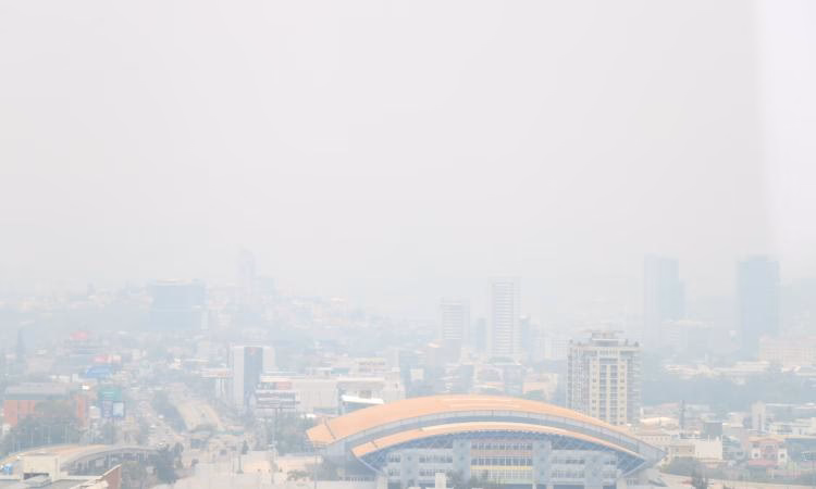 ¿Cómo mitigar los efectos negativos de la bruma?