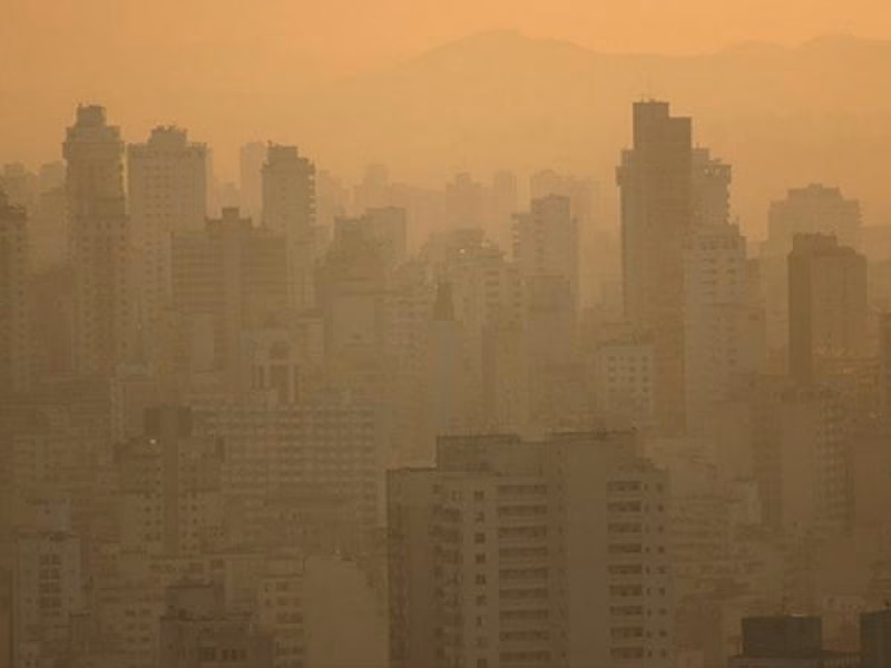 ¿Cómo mitigar los efectos negativos de la bruma?