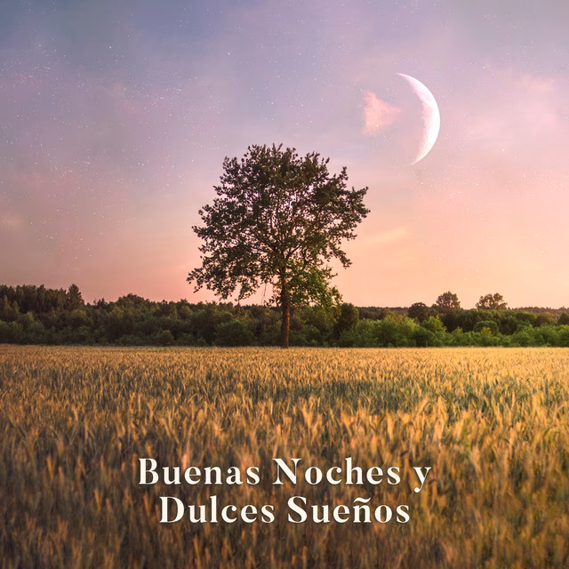 ¿Cómo se llama el programa de Buenas noches?