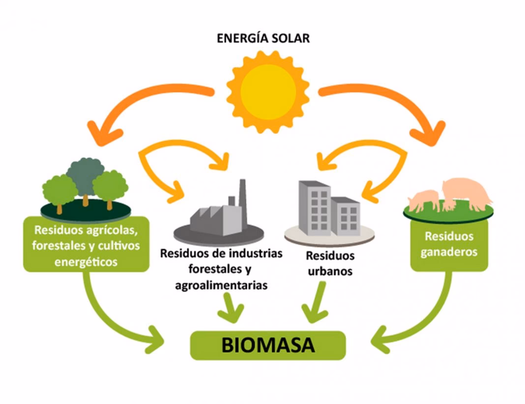 ¿Cuáles son las características de las calderas?