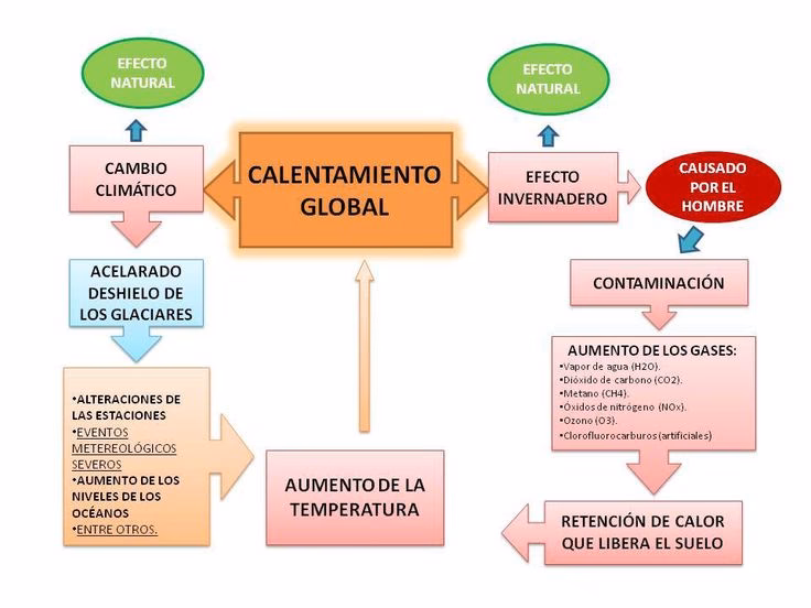 ¿Cómo frenar el calentamiento global?