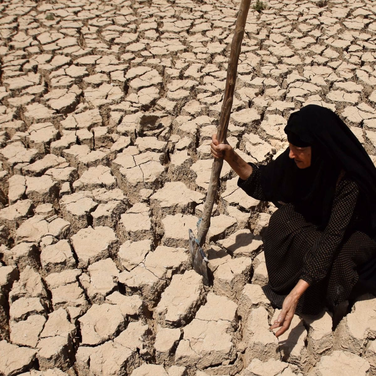 ¿Cómo ayudar a Siria en la lucha contra el calentamiento global?