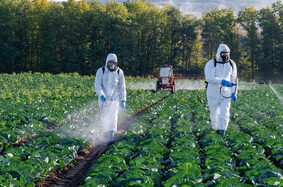 ¿Cómo afectan los fertilizantes químicos al calentamiento global?