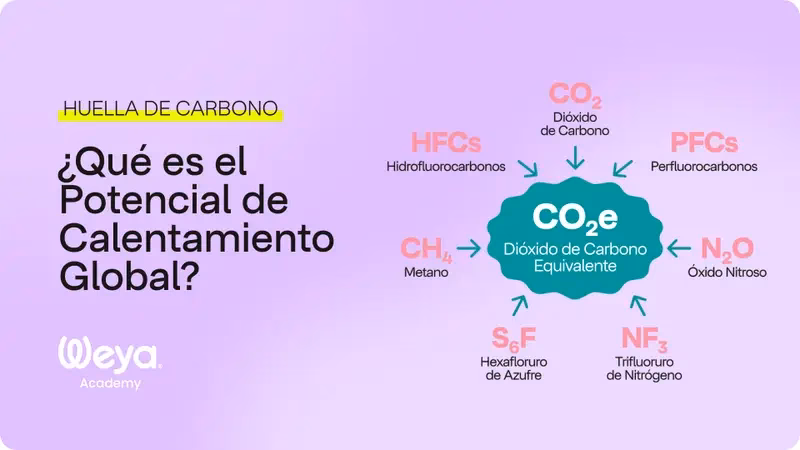 ¿Cuáles son las causas del calentamiento global?