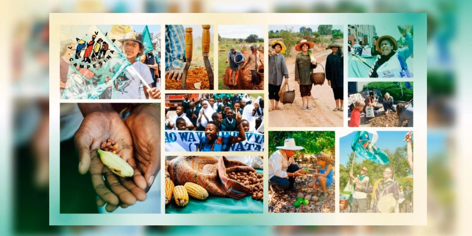 ¿Qué es la soberanía alimentaria en Colombia?