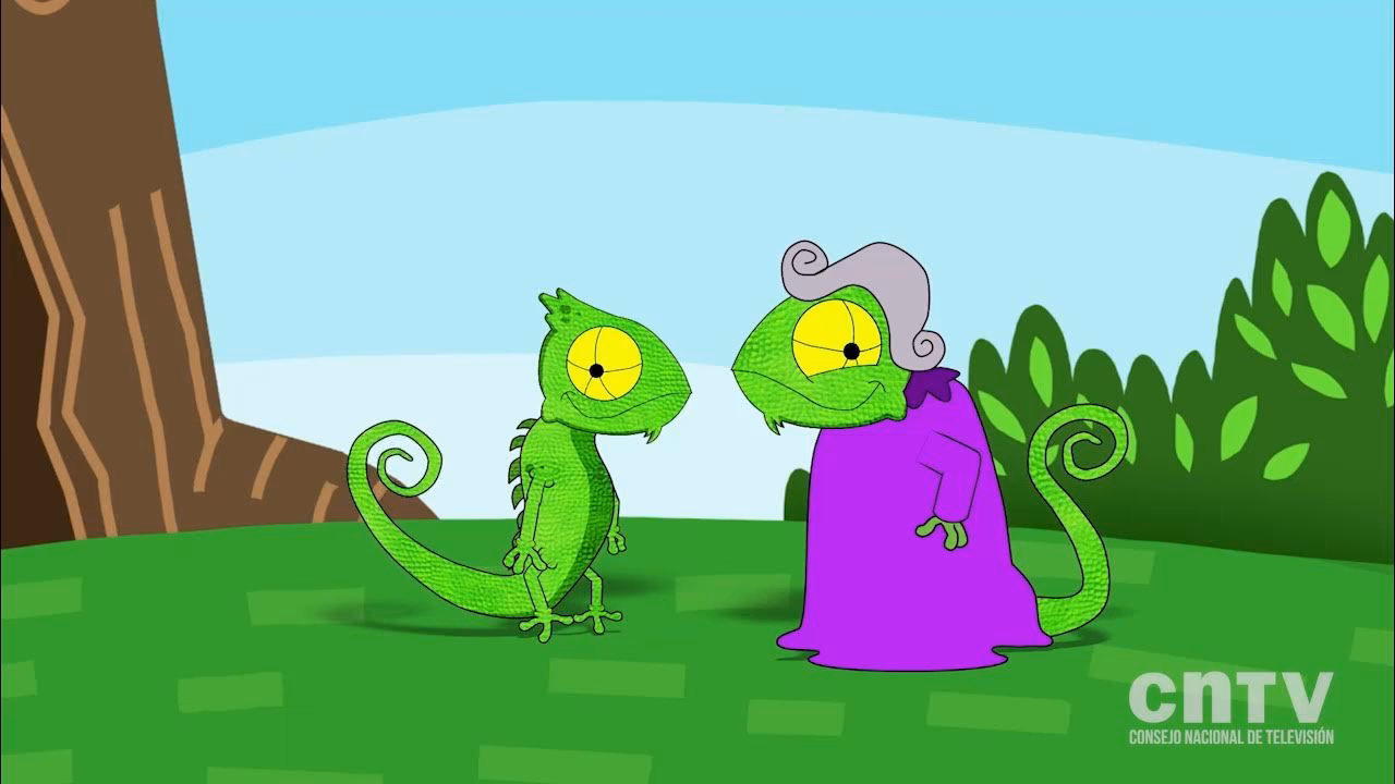 ¿Cuáles son las especies de camaleones?