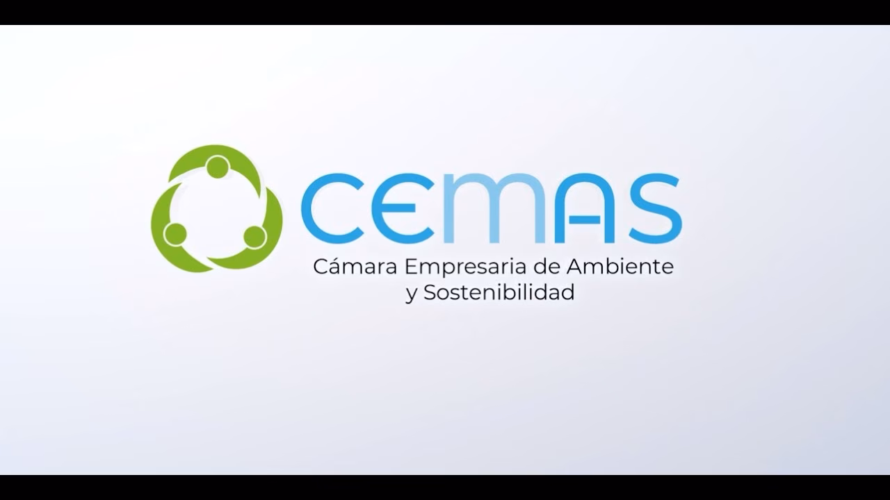 ¿Qué es la camaradería en el ambiente de trabajo?