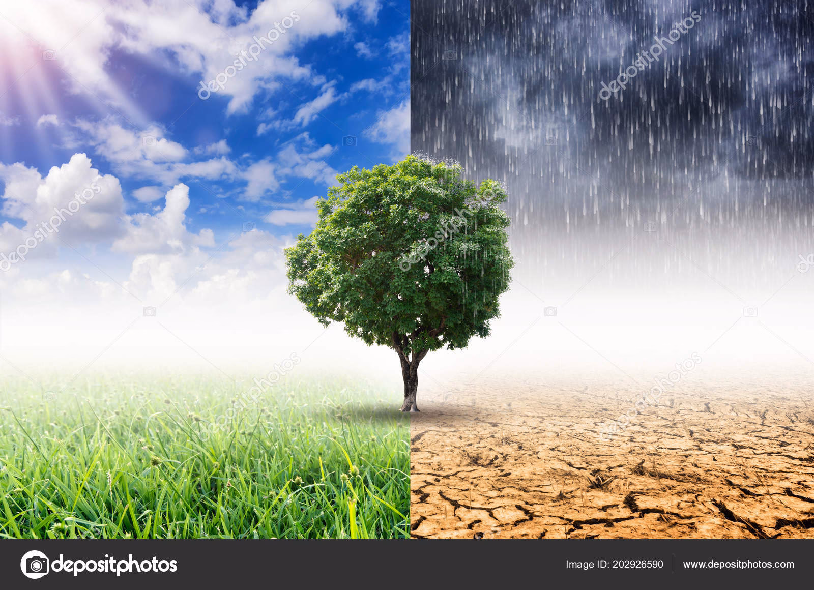 ¿Cómo mejorar la imagen de las empresas en el cambio climático?