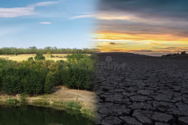 ¿Cuál es el avance experimentado por los bosques en España en los últimos cien años?