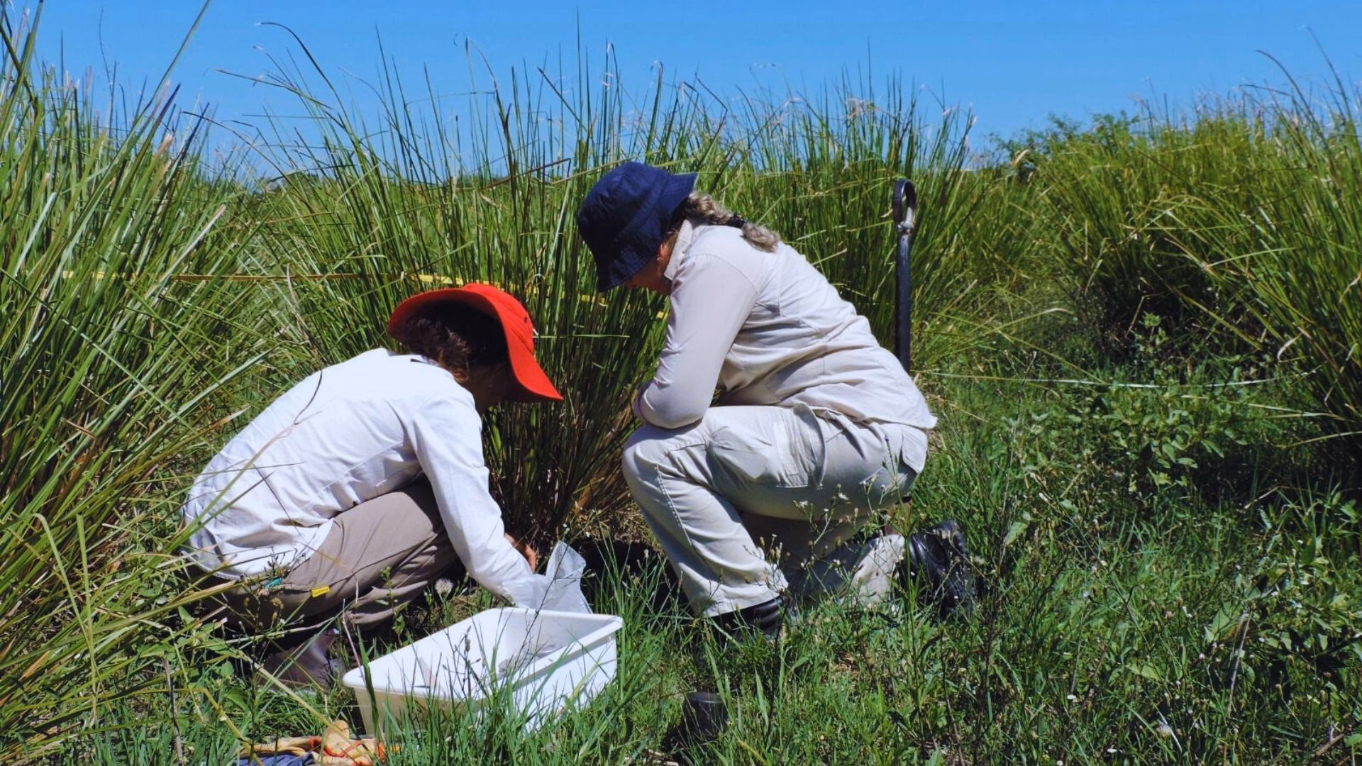¿Cómo afecta el cambio climático al sector productivo chaqueño?