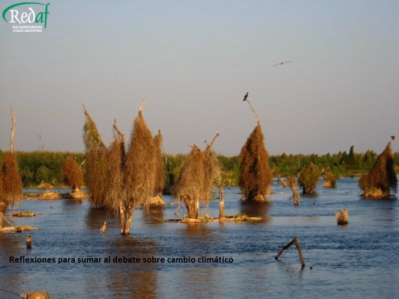 ¿Cuál es la importancia de actuar frente al cambio climático?