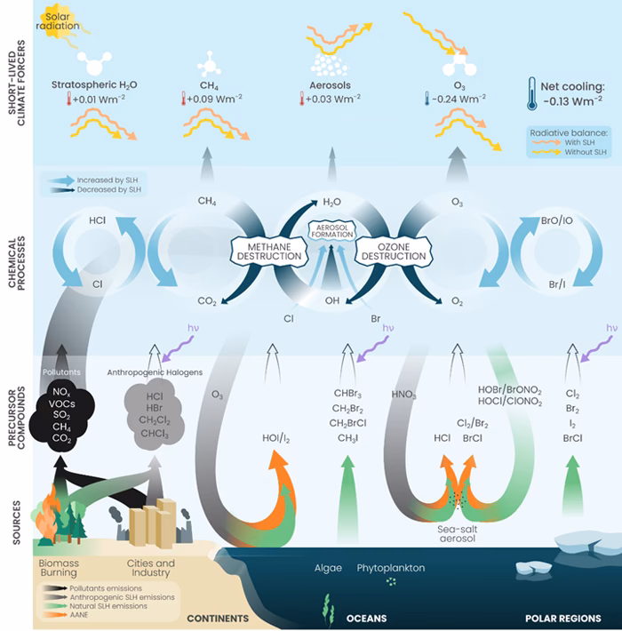 ¿Cuál es la importancia de la ingeniería química en el cambio climático?