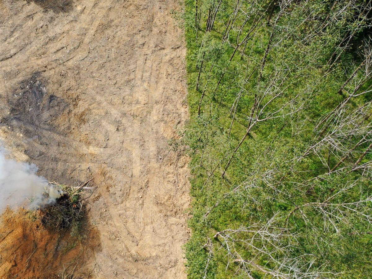 ¿Cómo afecta el cambio climático a la Tierra?