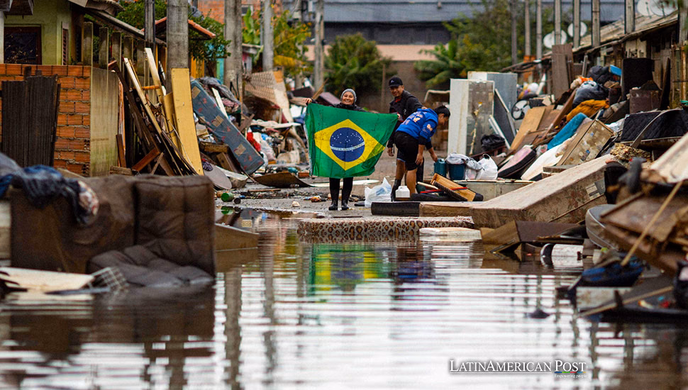 ¿Cuál es la tendencia de la precipitación en Brasil?