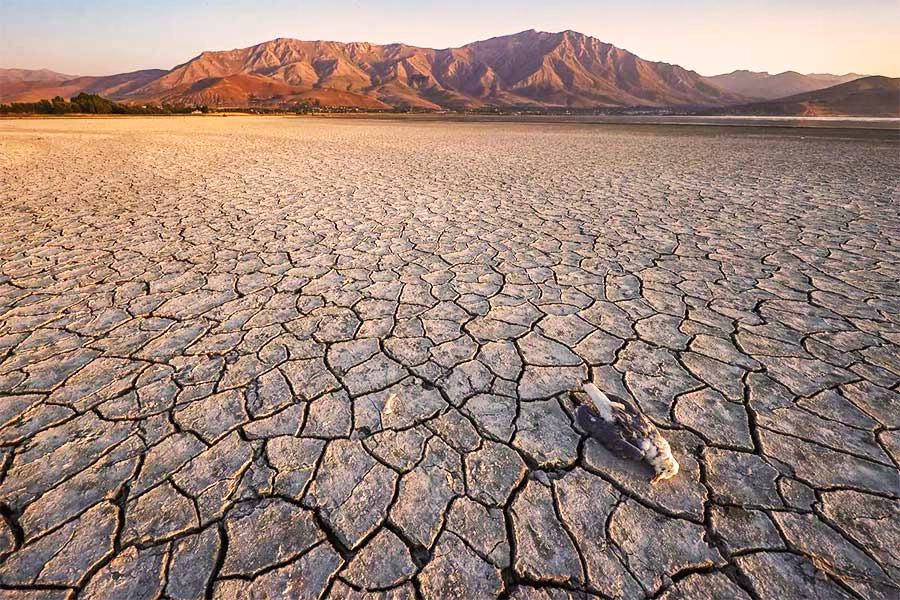 ¿Cuáles son los cambios geográficos en Turquía?