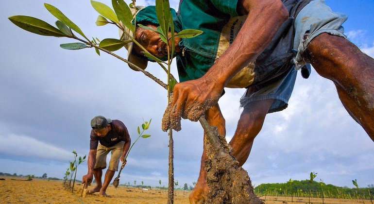¿Cómo afecta el cambio climático a las comunidades de color?