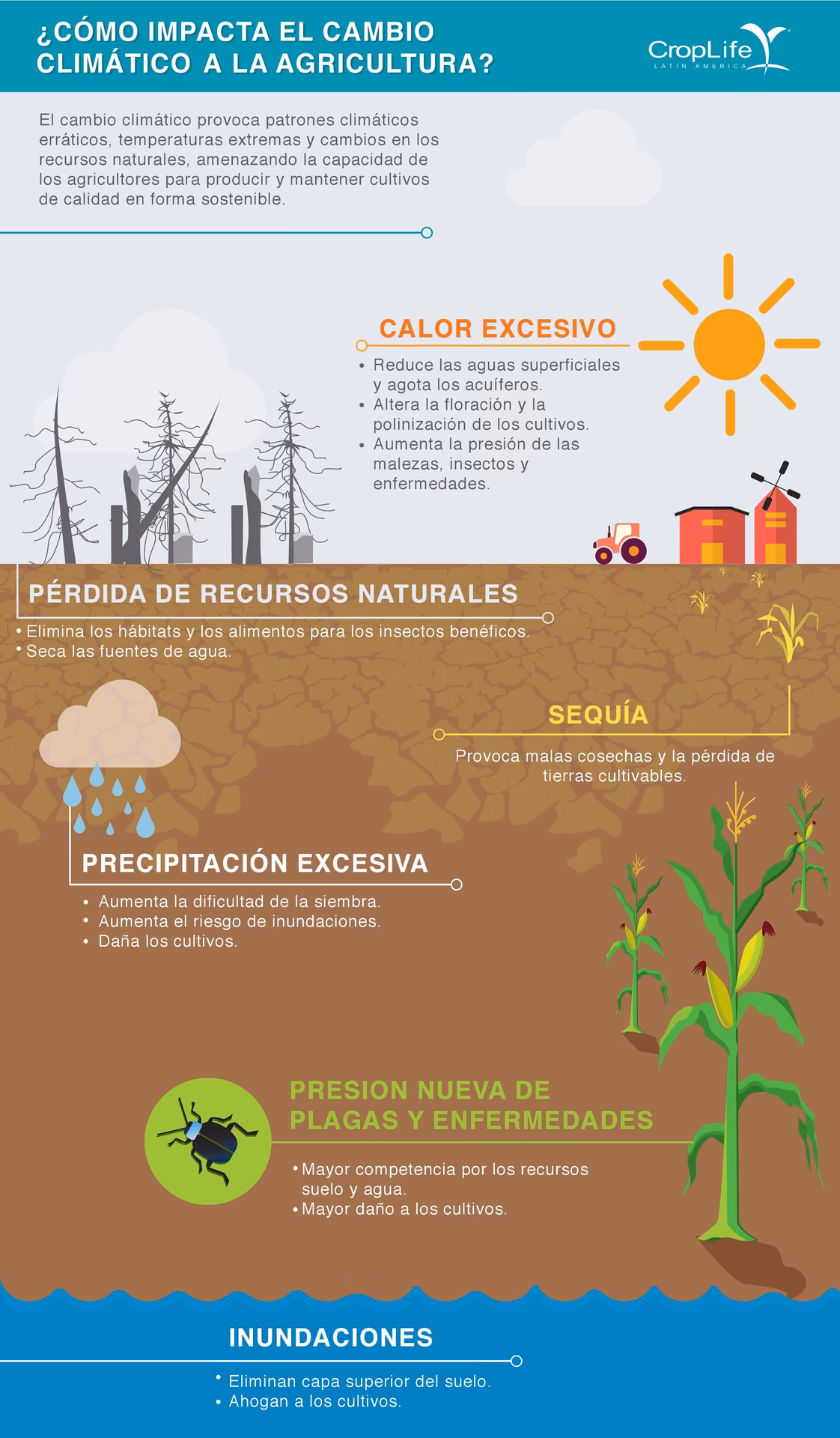 ¿Cuáles son los cambios del cambio climático?