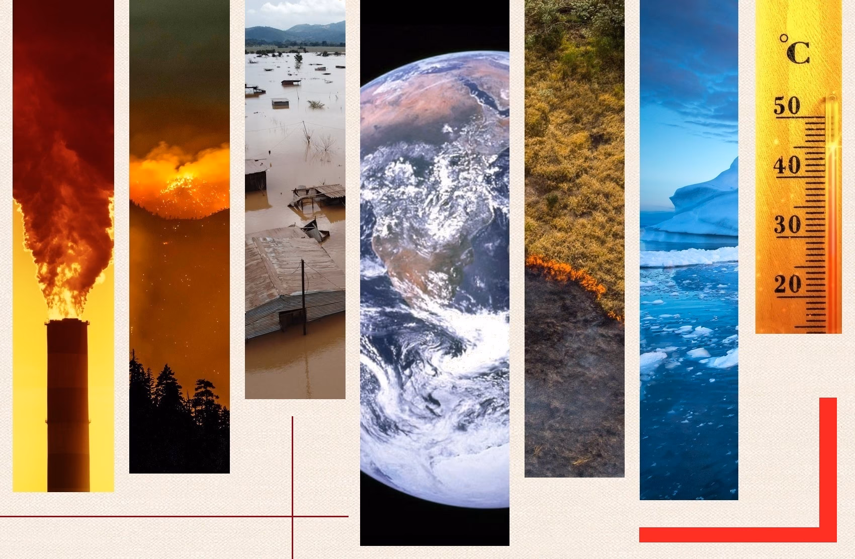 ¿Cuál es el impacto del cambio climático sobre los ecosistemas?