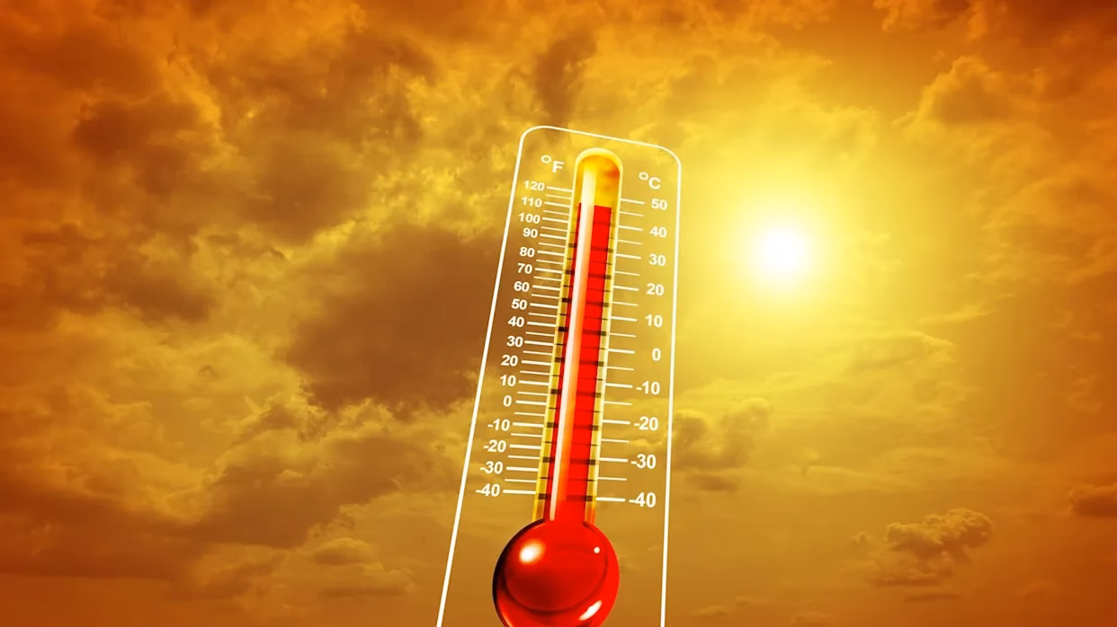 ¿Qué dice el Tribunal Europeo de Derechos Humanos sobre el cambio climático?