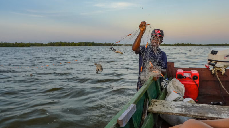 ¿Cuáles son las consecuencias del cambio climático enColombia?
