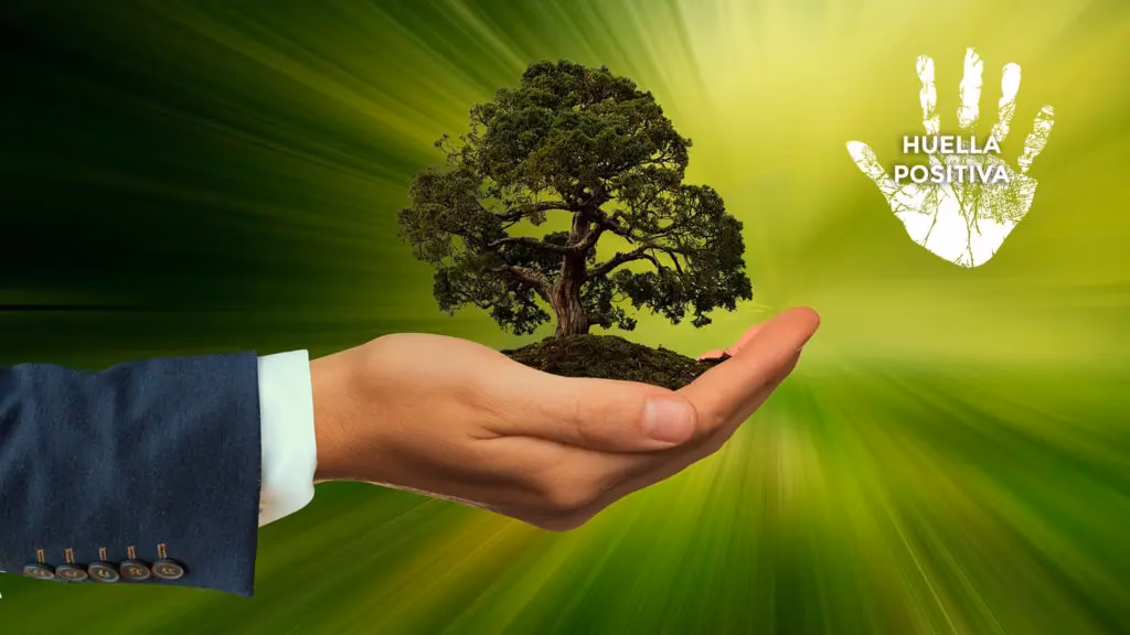 ¿Cómo afecta el cambio climático a la actividad física?