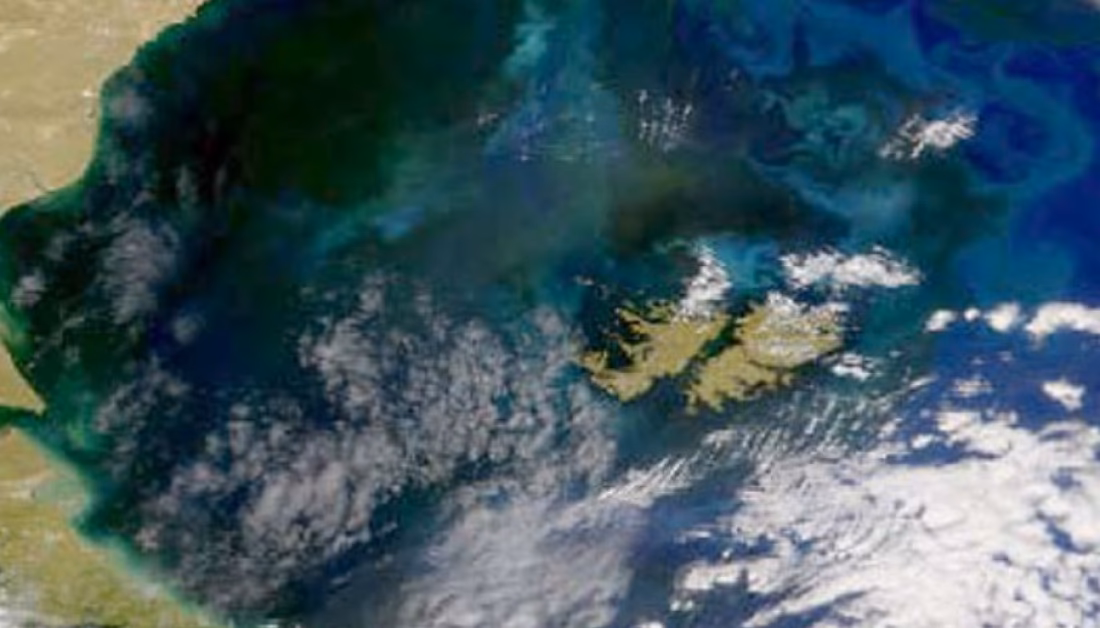 ¿Cuál es la relación entre el frío y la nieve de Filomena con el cambio climático?