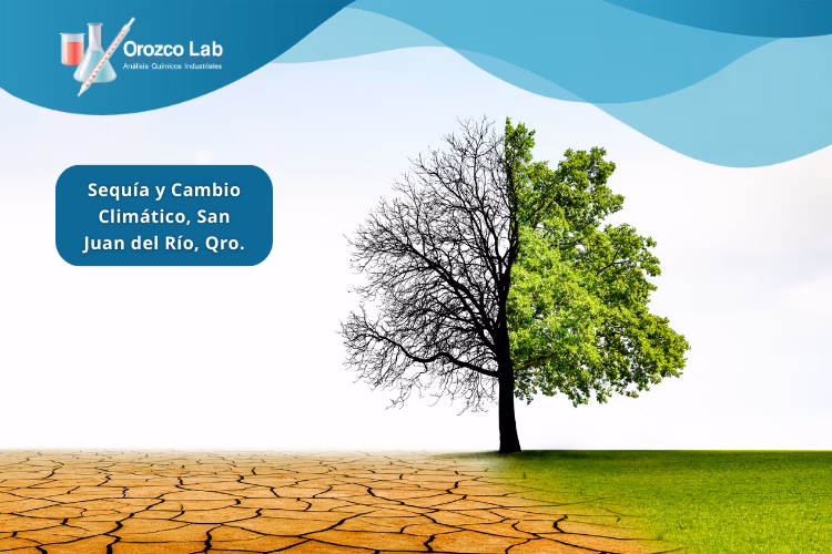 ¿Cómo combatir el cambio climático en Sanjuan?