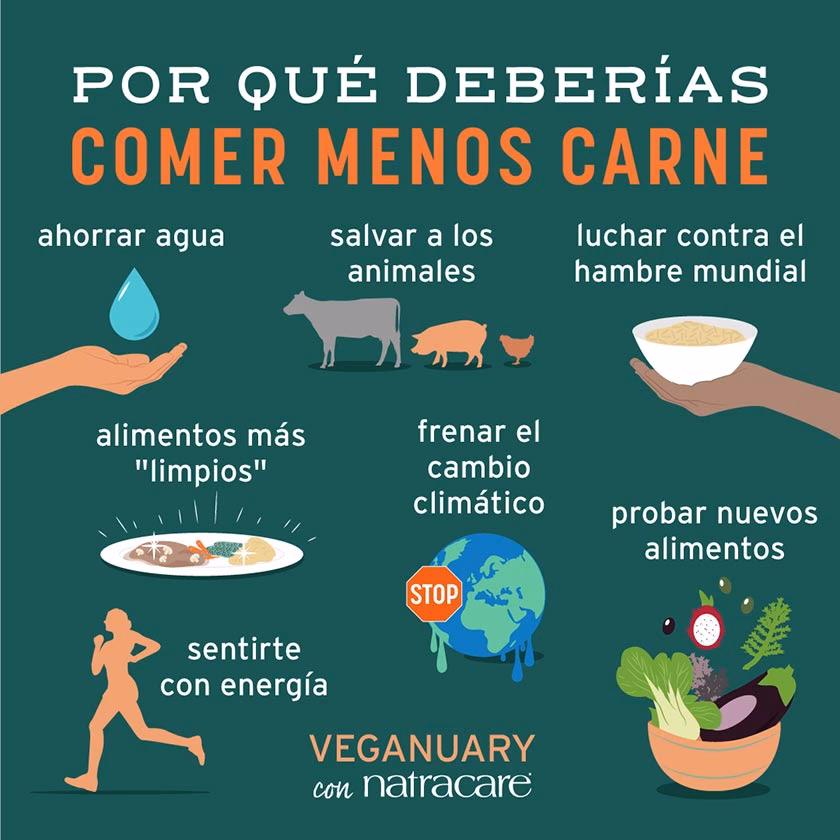 ¿Cómo cambiar de vegetarianismo a vegano?