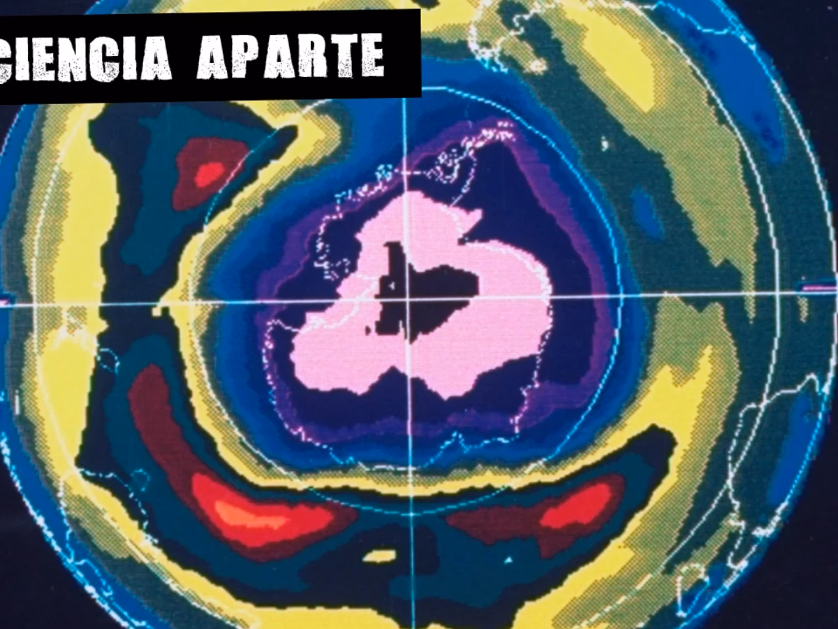 ¿Cómo están afectando las lluvias ácidas y agujero en la capa de ozono?