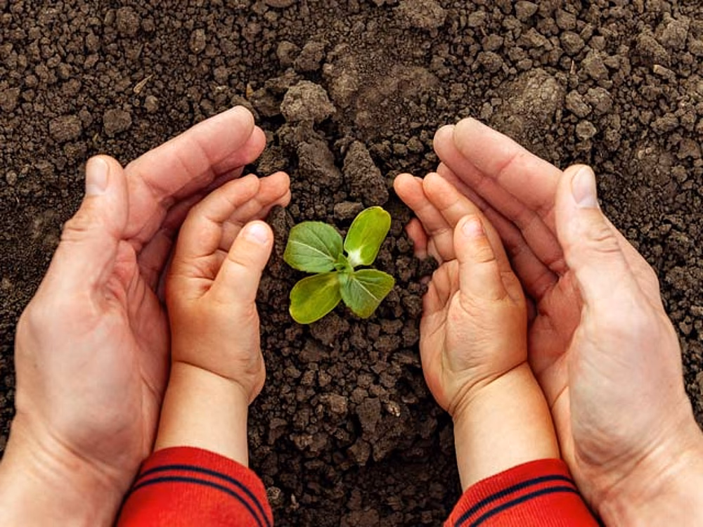 ¿Cómo alinear el capital con el cambio climático?