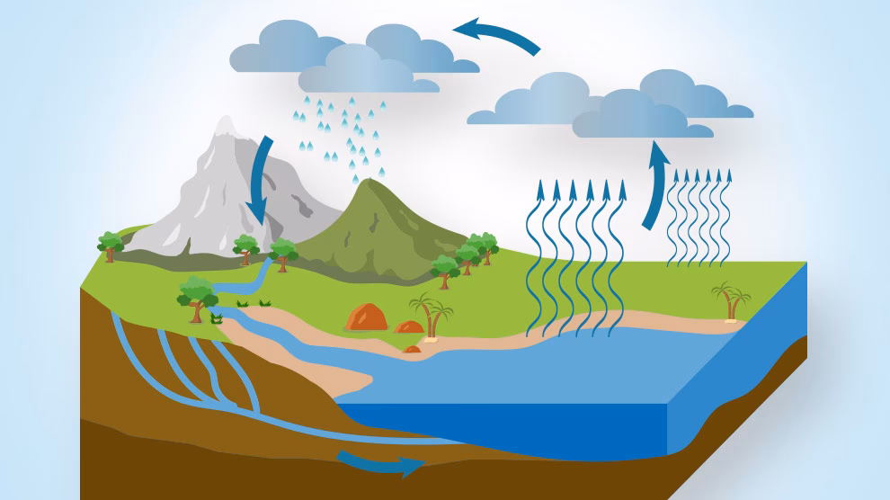 ¿Cuáles son los efectos del cambio climático?