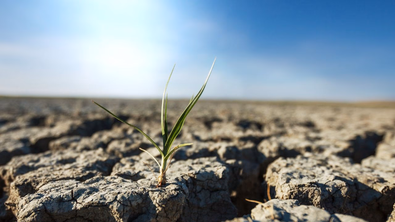 ¿Cómo frenar la contaminación y el cambio climático?
