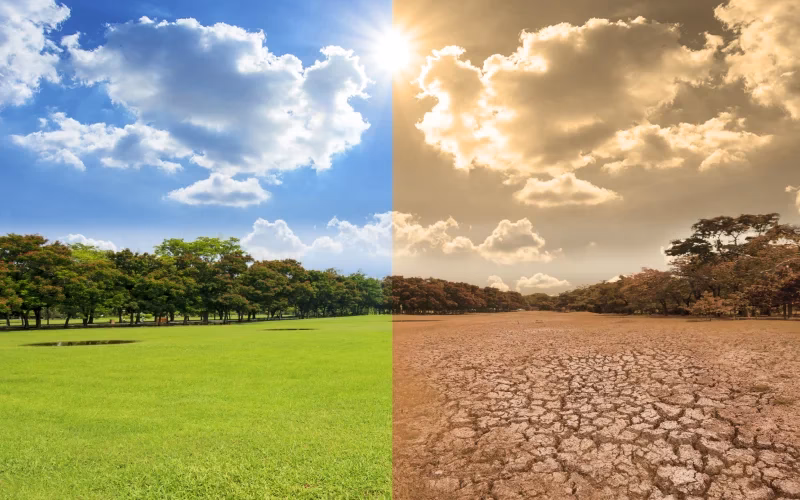 ¿Cuáles son las nuevas oportunidades del cambio climático?