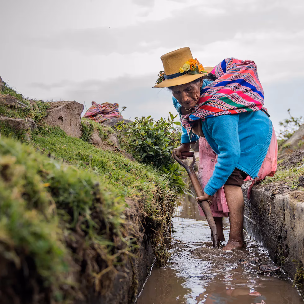 ¿Cómo se preparan los agricultores para el cambio climático?