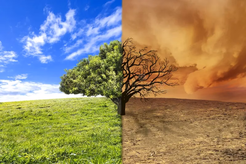 ¿Por qué es importante abordar el cambio climático a nivel global?