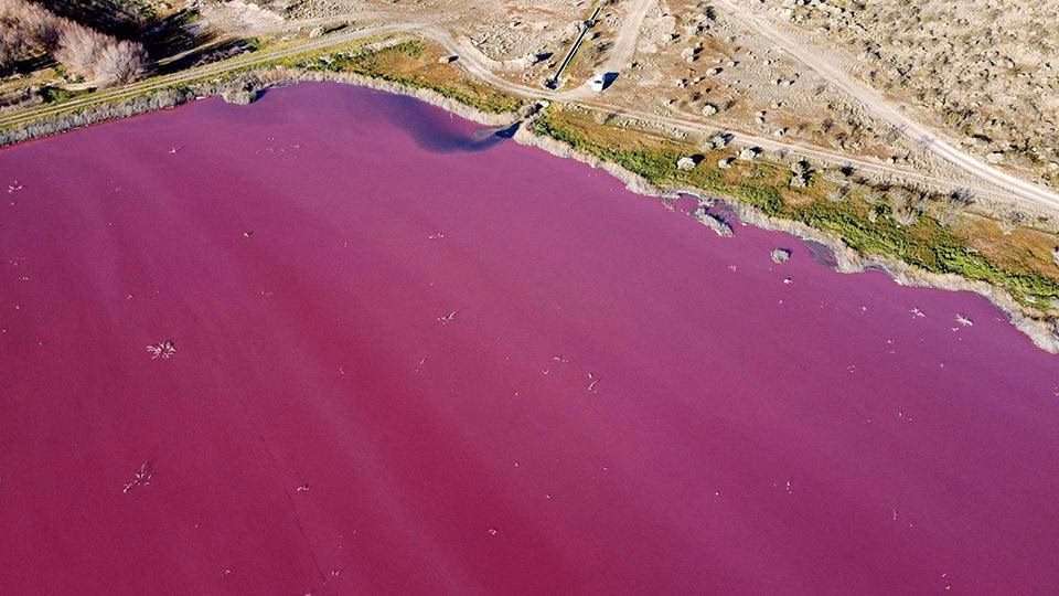 ¿Qué hacer cuando el agua potable cambia de color?